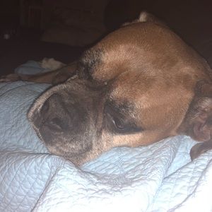 Meet your Posher, Jeremy